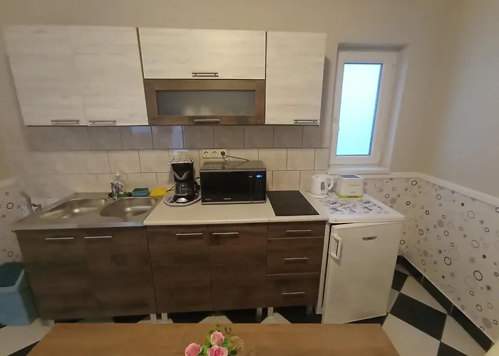 公寓 马格达莱纳公寓式酒店 *